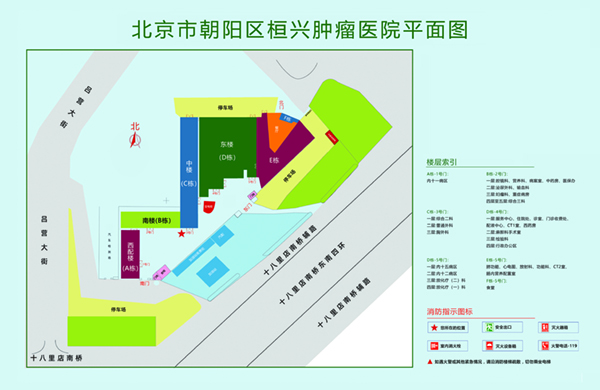 国产操骚逼逼免费视频北京市朝阳区桓兴肿瘤医院平面图